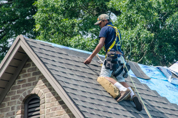 Best Roof Repair Services  in Comer, GA